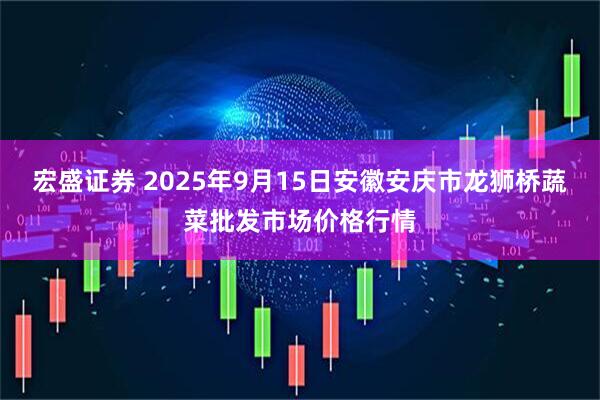 宏盛证券 2025年9月15日安徽安庆市龙狮桥蔬菜批发市场价格行情