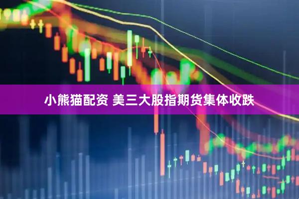 小熊猫配资 美三大股指期货集体收跌
