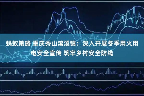蚂蚁策略 重庆秀山溶溪镇：深入开展冬季用火用电安全宣传 筑牢乡村安全防线