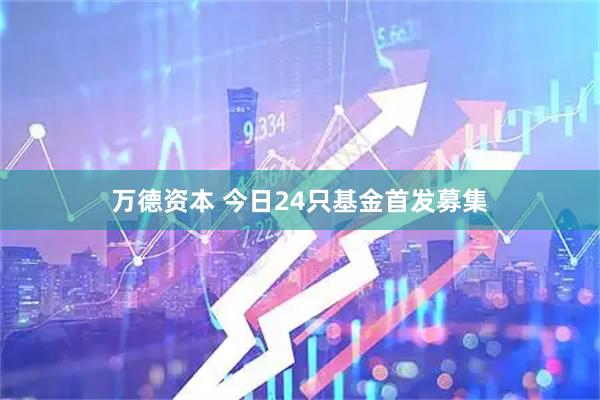 万德资本 今日24只基金首发募集
